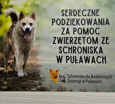 Uczniowie klasy 5a zorganizowali zbiórkę darów dla schroniska w Puławach