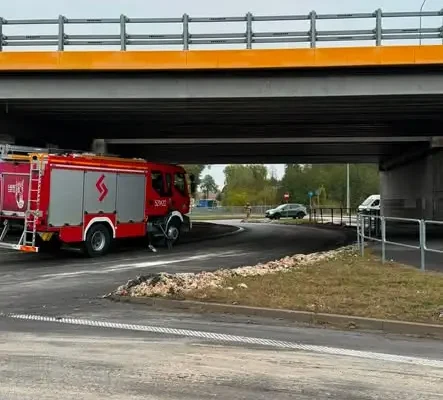 Nieczystości rozsypane na jezdni w Moszczance – interweniowały służby