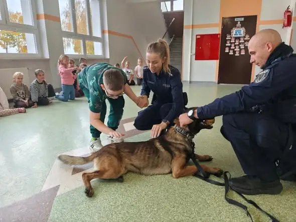 Policjanci i pies Orzech z wizytą w klasie 1b – lekcja bezpieczeństwa